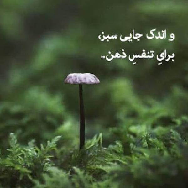 دلنوشته طبیعت 